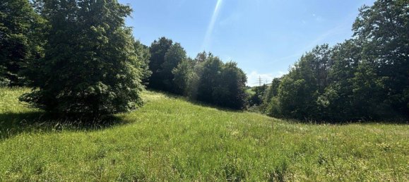 7 rooms House in Asperhofen, Austria No. 91109 4