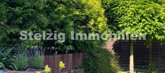 4 غرف نوم تاون هاوس في Cottbus, Germany رقم 43832 18