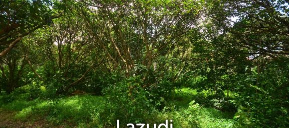  Commercial property in Ko Samui, Thailand No. 24252 3