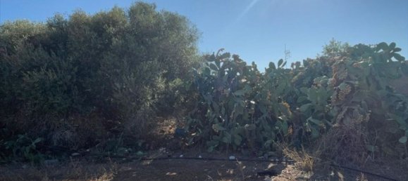 7غرفة منزل في Marsala, Italy رقم 136122 11