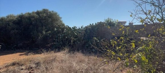 7غرفة منزل في Marsala, Italy رقم 136122 12