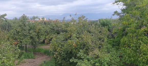 5 rooms House in Somma Vesuviana, Italy No. 85092 36