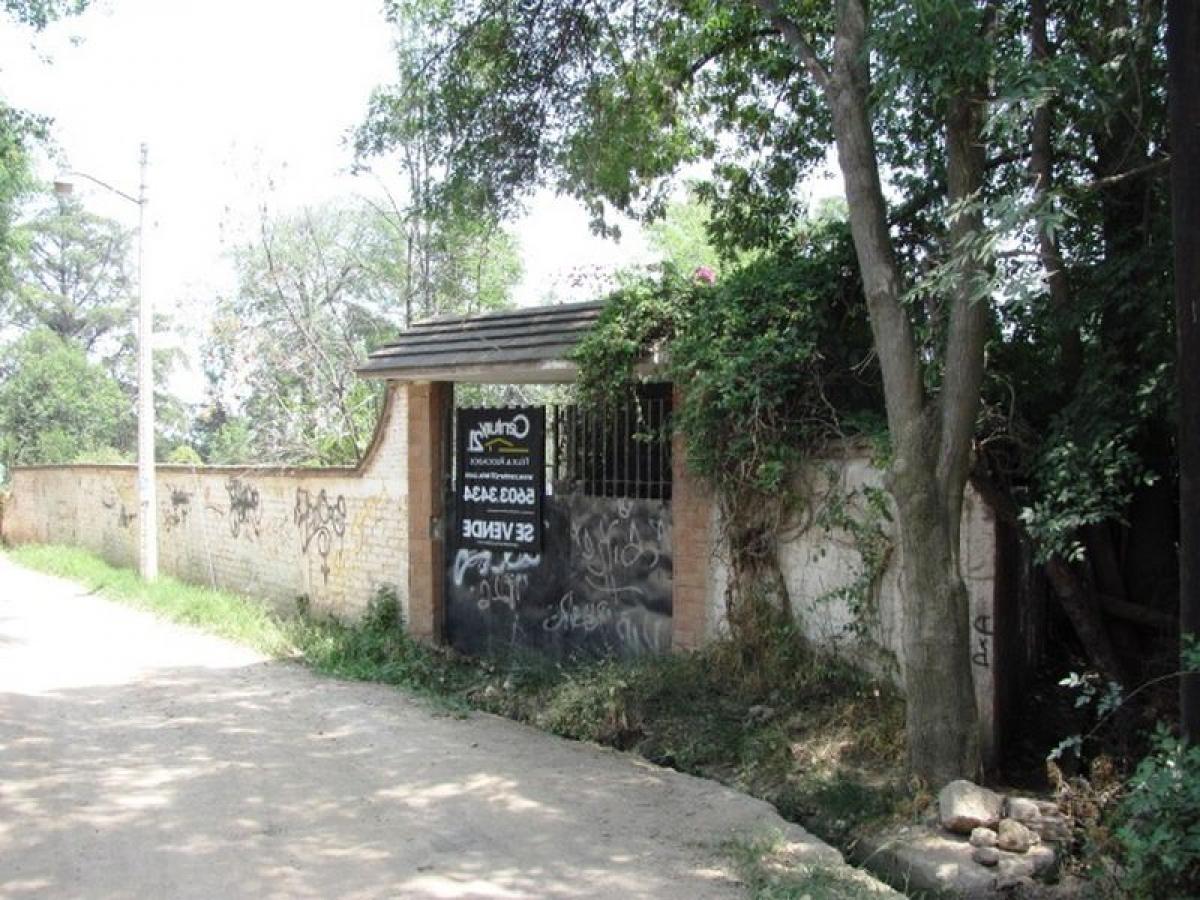  Land in Texcoco de Mora, Mexico No. 202756