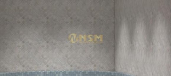 Appartement 1+1 à Alanya, Turkey No. 31079 11