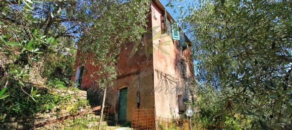 6غرفة منزل في Rapallo, Italy رقم 273684 13