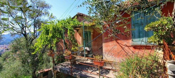 6غرفة منزل في Rapallo, Italy رقم 273684 16