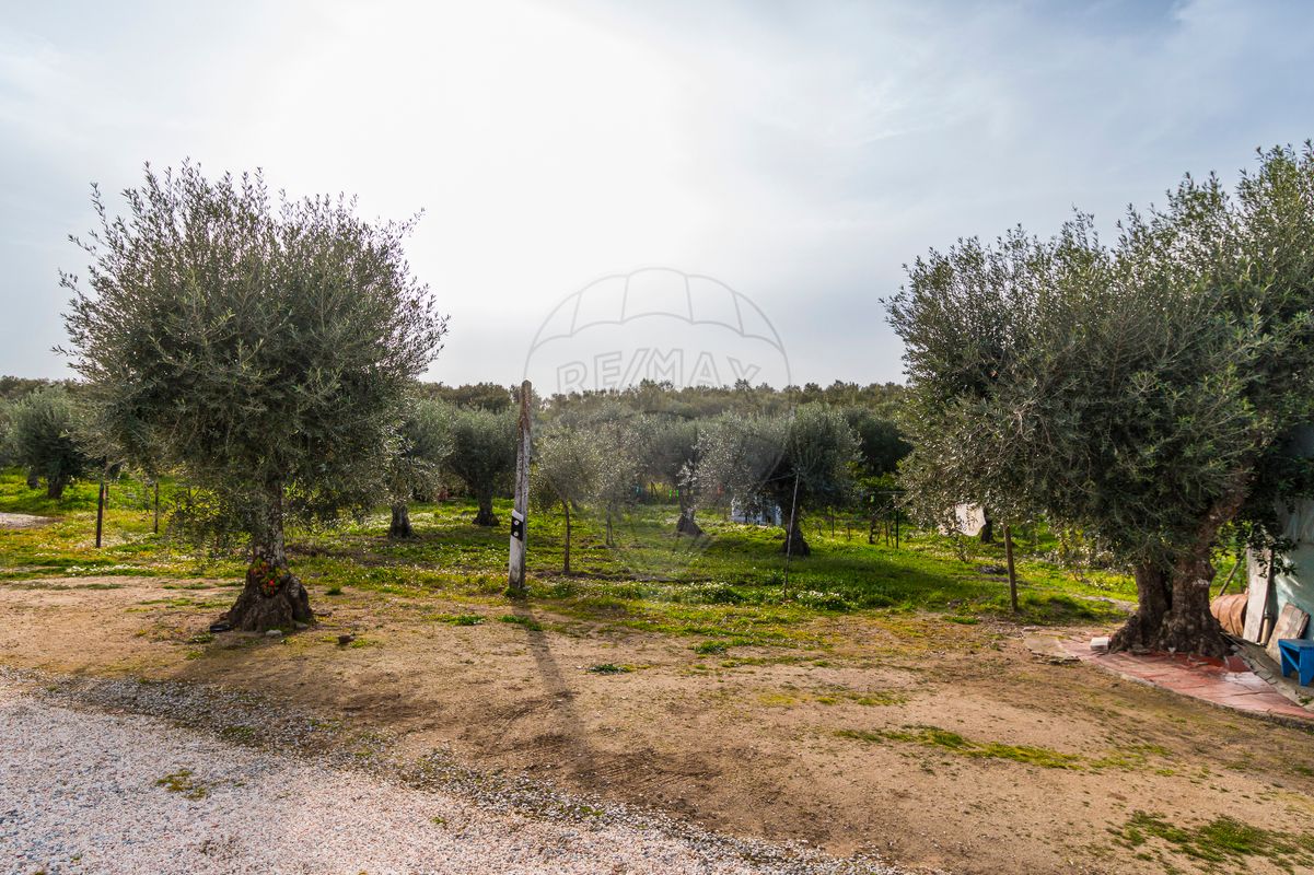 2 bedrooms House in Estremoz, Portugal No. 27338