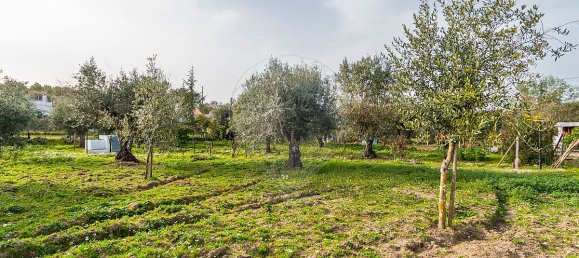 2 bedrooms House in Estremoz, Portugal No. 27338 25