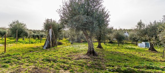 2 bedrooms House in Estremoz, Portugal No. 27338 26