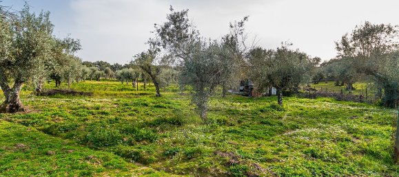 2 bedrooms House in Estremoz, Portugal No. 27338 29