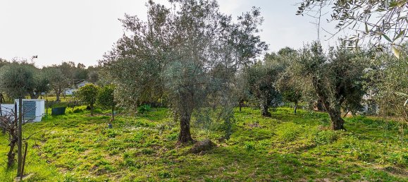 2 bedrooms House in Estremoz, Portugal No. 27338 5