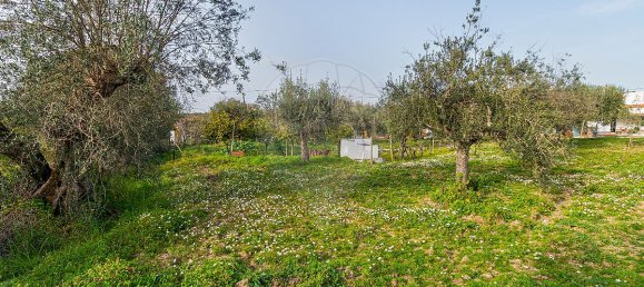 2 bedrooms House in Estremoz, Portugal No. 27338 28