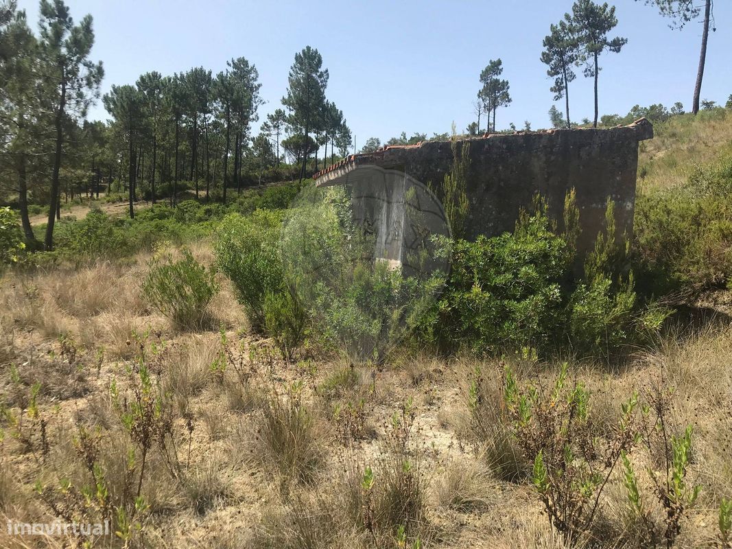 Земельный участок 11000м² в Томар, Португалия № 278447