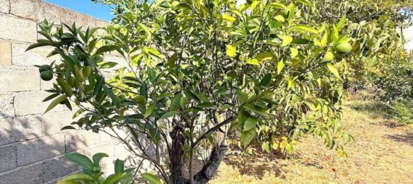 7 rooms House in Perfugas, Italy No. 277540 41