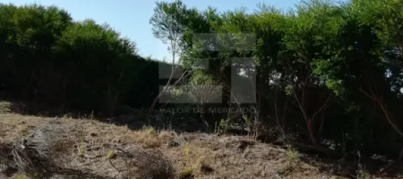 Дом с 4 спальнями в Синтра, Португалия № 166023 39