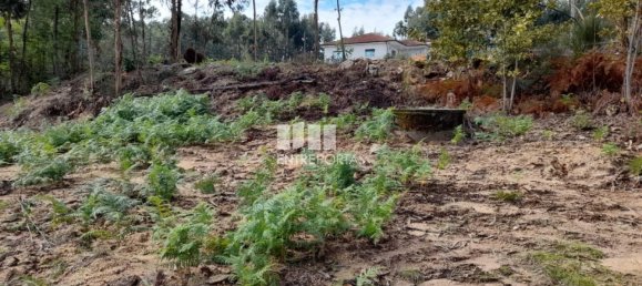 Земельный участок 2475м² в Амаранти, Португалия № 57455 10