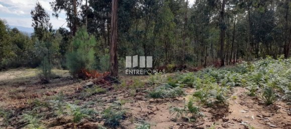 Земельный участок 2475м² в Амаранти, Португалия № 57455 7