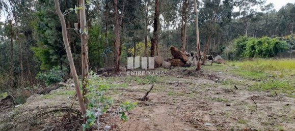 Земельный участок 2475м² в Амаранти, Португалия № 57455 24