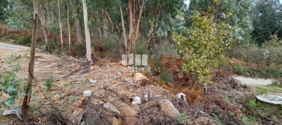 Земельный участок 2475м² в Амаранти, Португалия № 57455 21