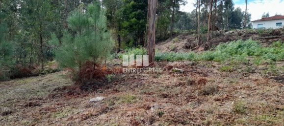 Земельный участок 2475м² в Амаранти, Португалия № 57455 2