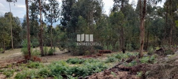 Земельный участок 2475м² в Амаранти, Португалия № 57455 26