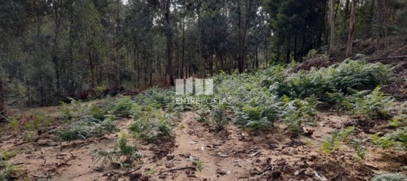 Земельный участок 2475м² в Амаранти, Португалия № 57455 5