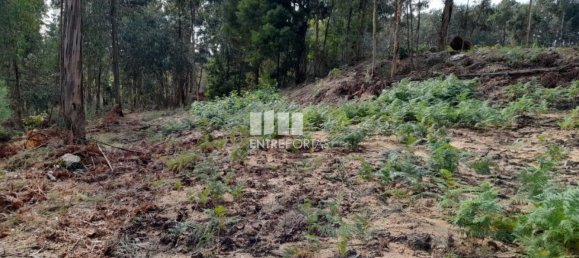 Земельный участок 2475м² в Амаранти, Португалия № 57455 11