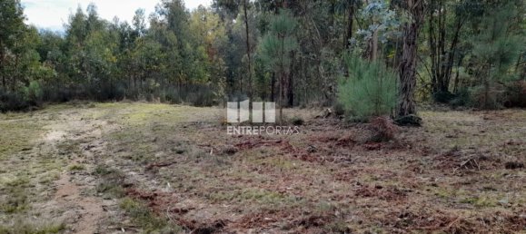 Земельный участок 2475м² в Амаранти, Португалия № 57455 6