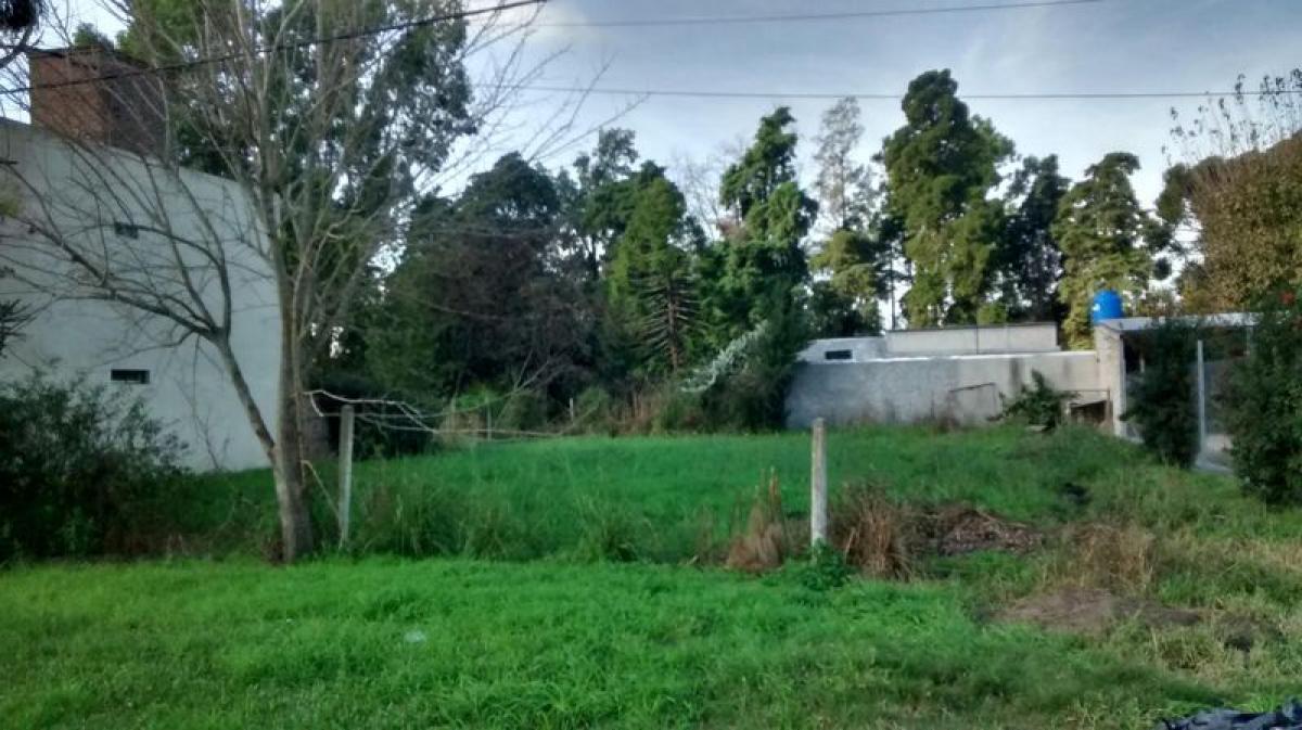  Land in Santa Fe, Argentina No. 31897