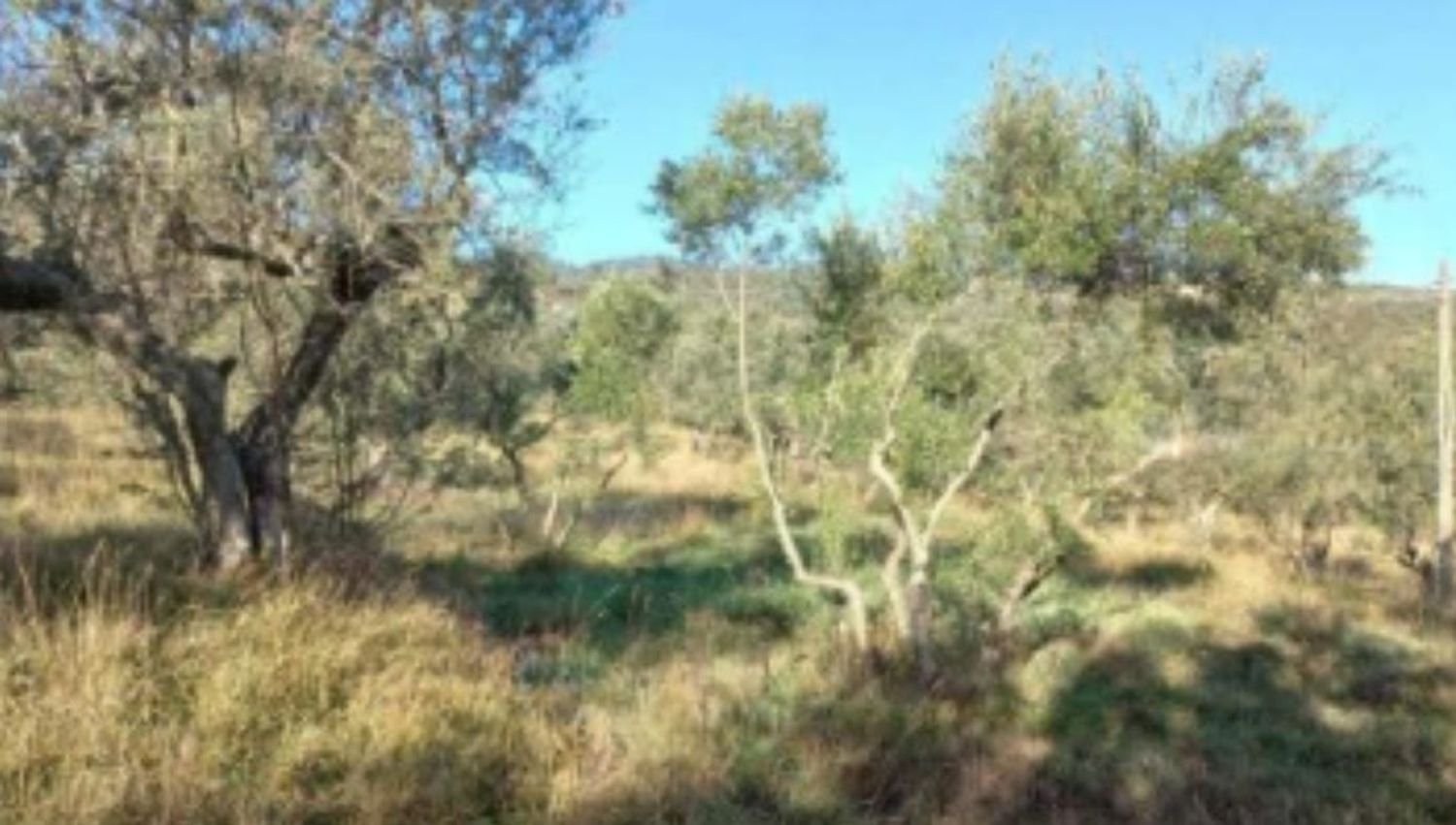 Terrain à Quarrata, Italy 26093m² No. 336065