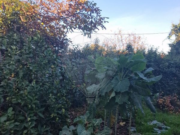 3 bedrooms House in Alijo, Portugal No. 184317