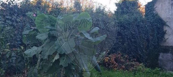 3 bedrooms House in Alijo, Portugal No. 184317 6