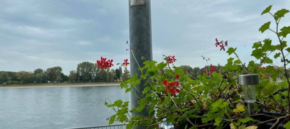 2 rooms Apartment in Cologne, Germany No. 371631 16