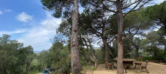 5 غرف نوم منزل في Castell-Platja d'Aro, Spain رقم 43661 47