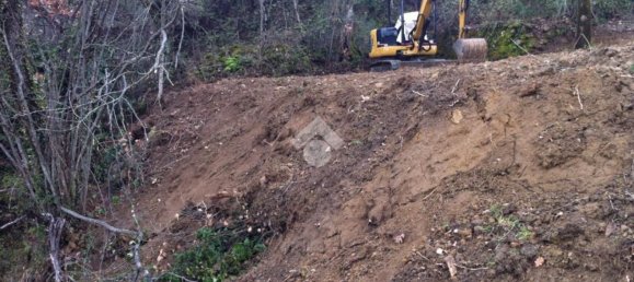 Studio in San Vito Romano, Italy, Nr. 234774 19