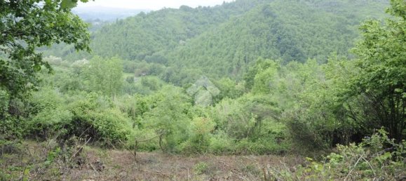 Studio in San Vito Romano, Italy, Nr. 234774 4