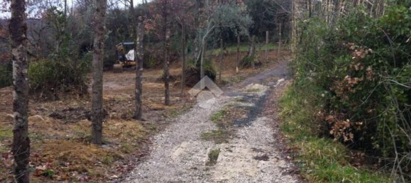 Studio in San Vito Romano, Italy, Nr. 234774 21