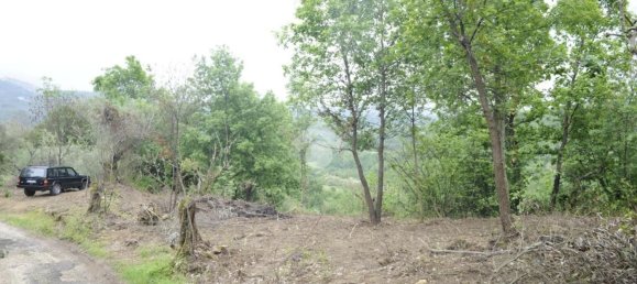 Studio in San Vito Romano, Italy, Nr. 234774 30