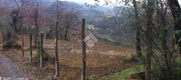 Studio in San Vito Romano, Italy, Nr. 234774 27