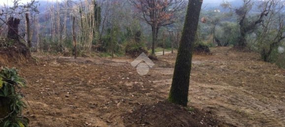 Studio in San Vito Romano, Italy, Nr. 234774 23