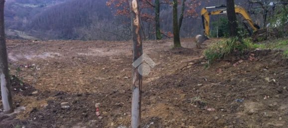 Studio in San Vito Romano, Italy, Nr. 234774 32