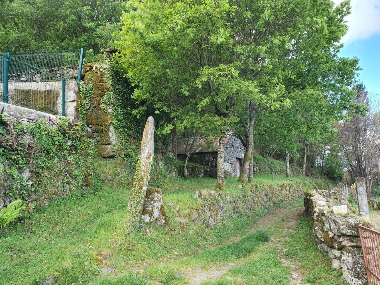 Terrain à Lindoso, Portugal No. 317441