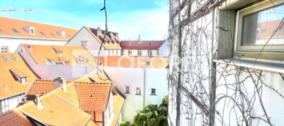 1 chambre Appartement à Strasbourg, France No. 92765 17