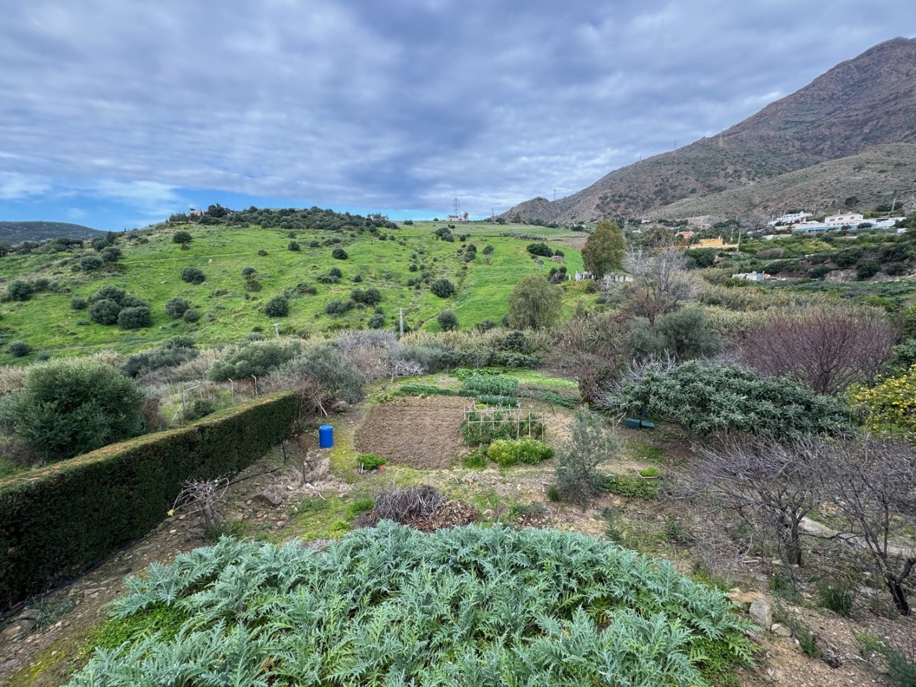 4 غرف نوم منزل في Estepona, Spain رقم 32359