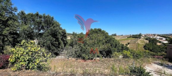 5 bedrooms Villa in Caldas da Rainha, Portugal No. 139358 28