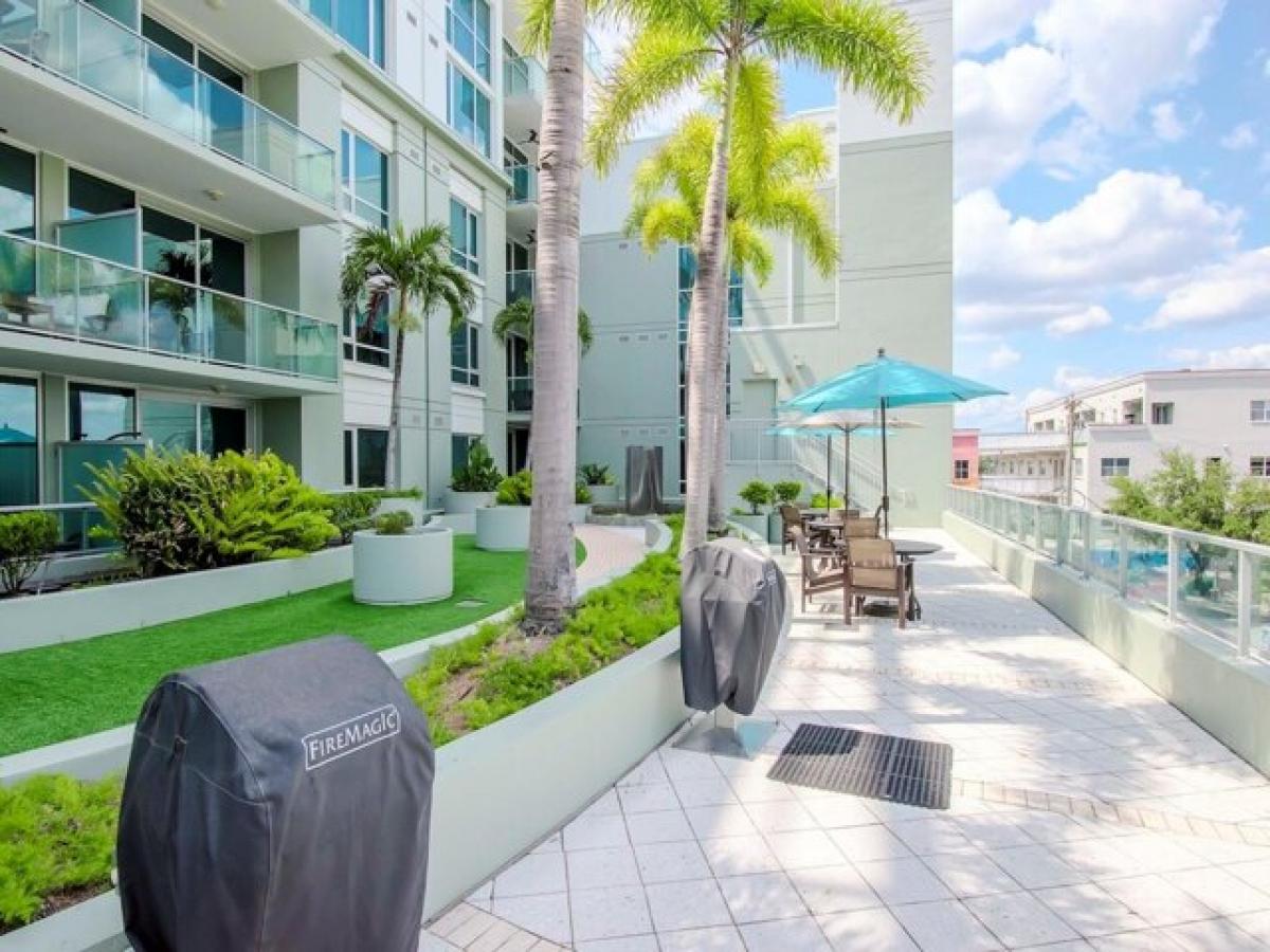 استوديو في Tampa, USA رقم 258305