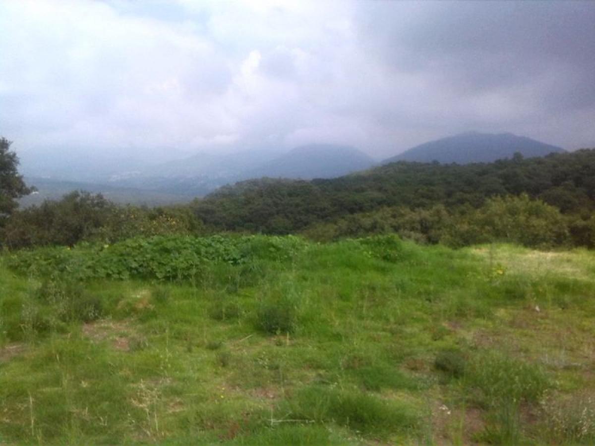  Land in Mexico No. 203598