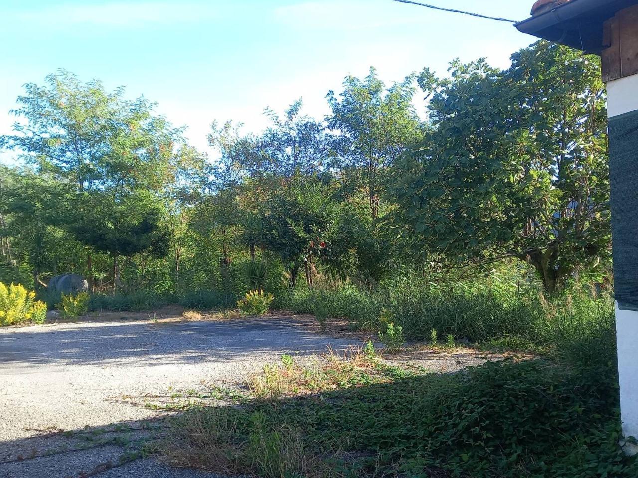 5-salle Appartement à Papasidero, Italy No. 71978