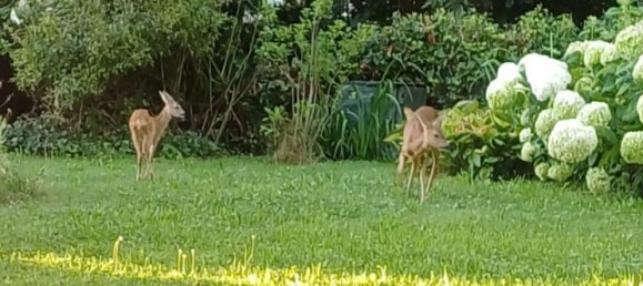 Apartamento T2 em Waldshut, Germany N.º 5924 10