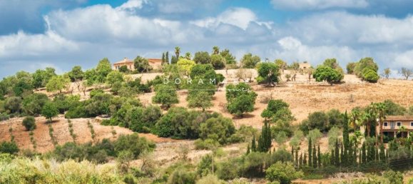 552m² Land in Manacor, Spain No. 174309 14
